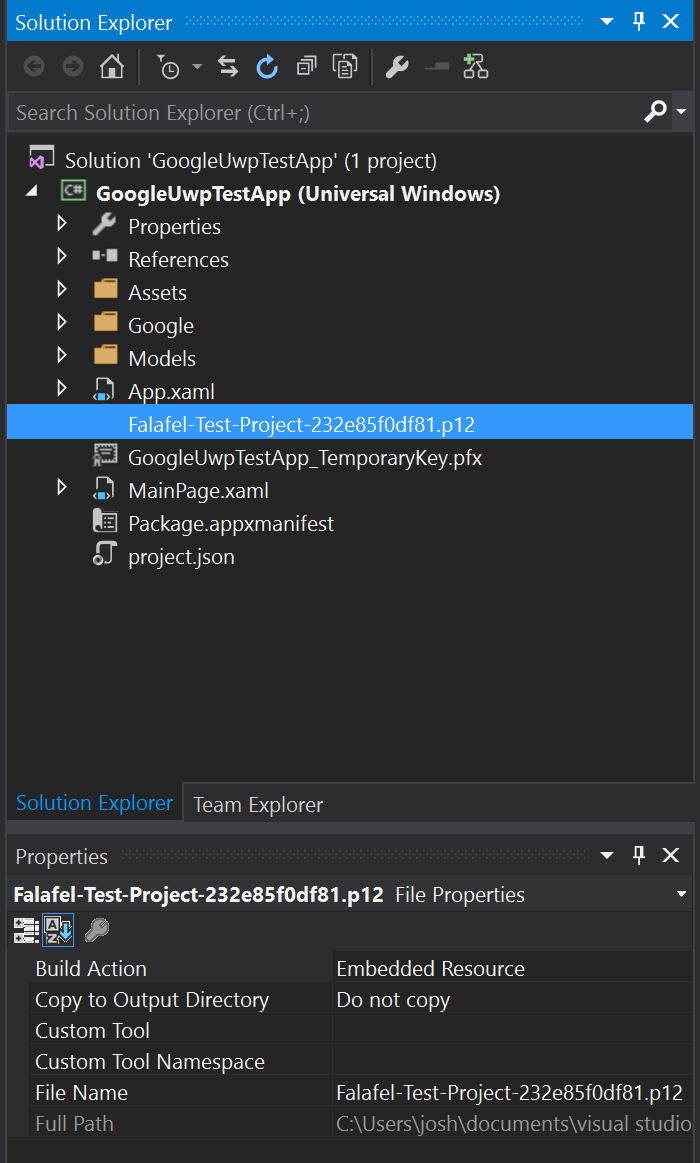 Google-Cloud-Platform-p12-key