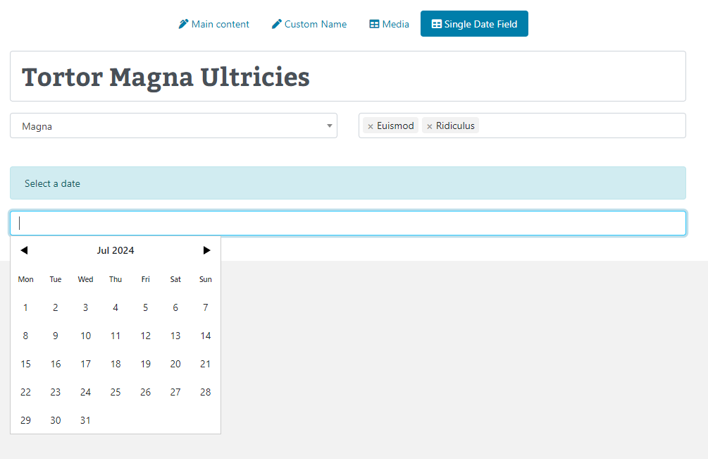 Piranha CMS Single Custom Field